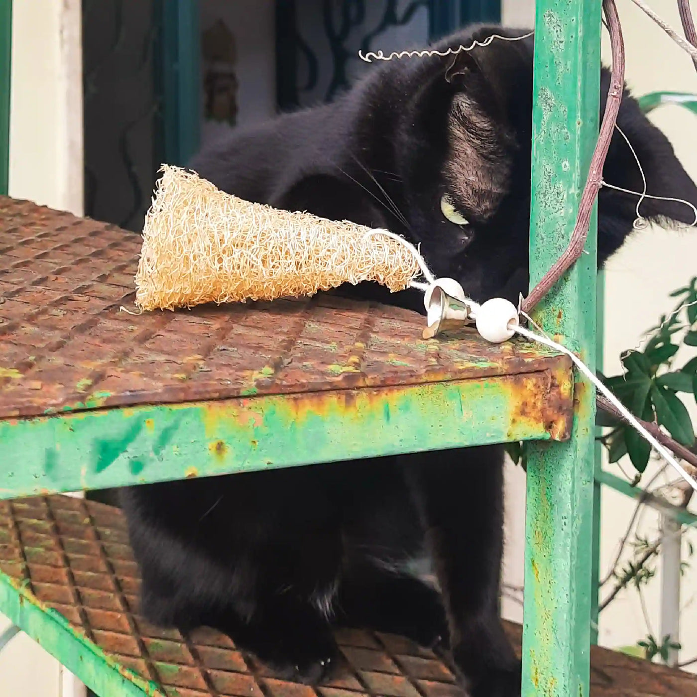 🐱 Laura Spluf: Toys/Dental stick  in LUFFA