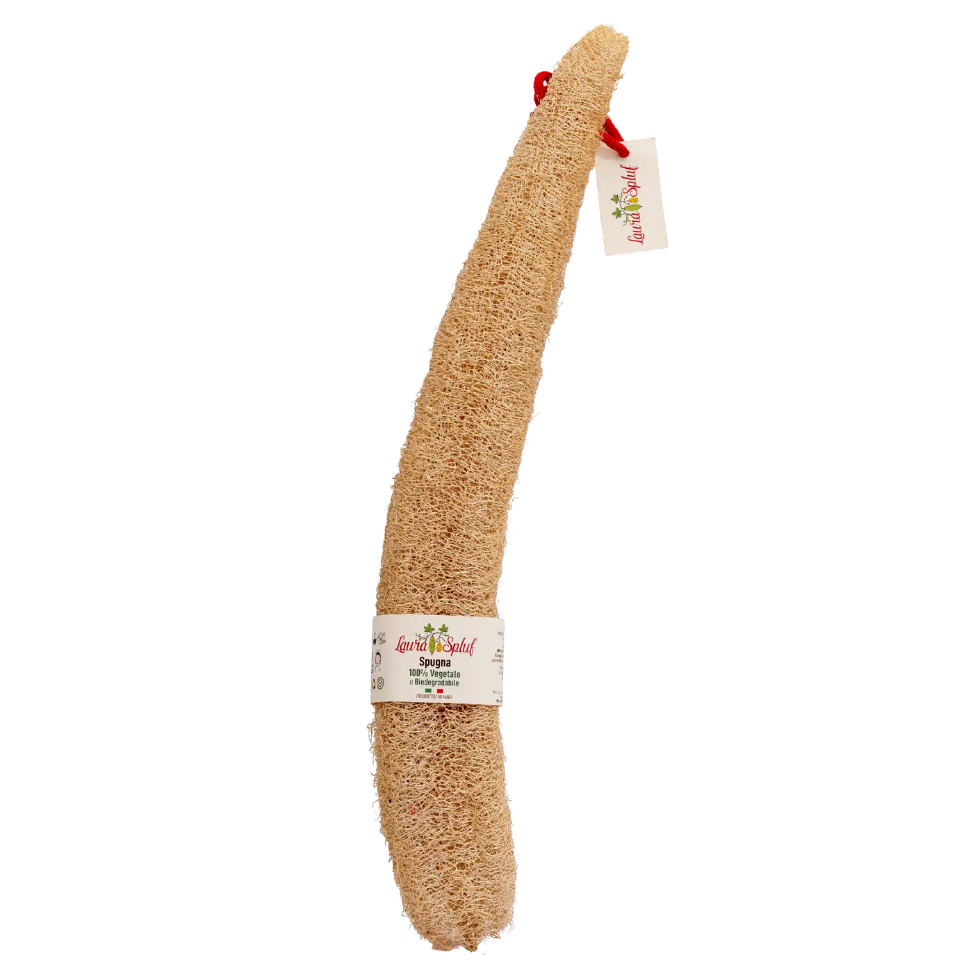 ✨ Laura Spluf: Whole Loofah - Your Natural Jewel ✨