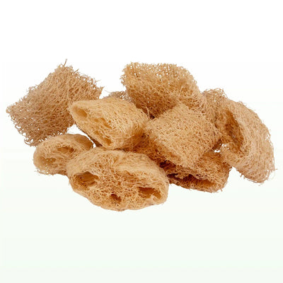 🌿 Laura Spluf: MULTIPACK - Cilindri di Luffa 3 cm 🌿