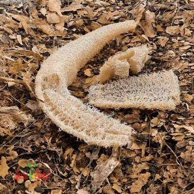 🌼 Laura Spluf: Tranci di Luffa da 11 cm 🌼